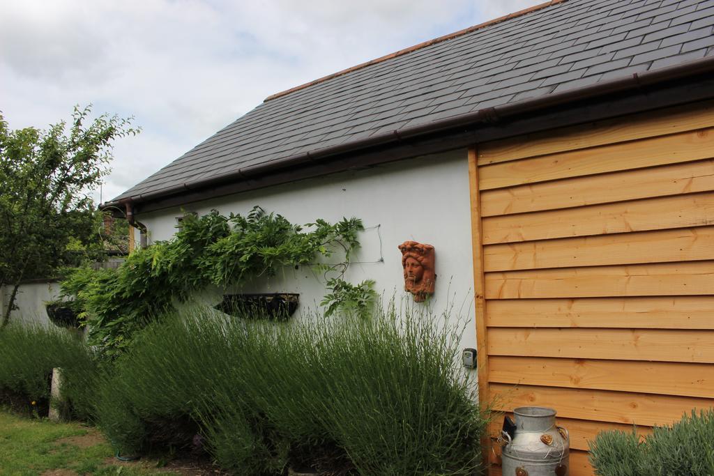 رينغوود Old Stacks Cottage Annexe المظهر الخارجي الصورة